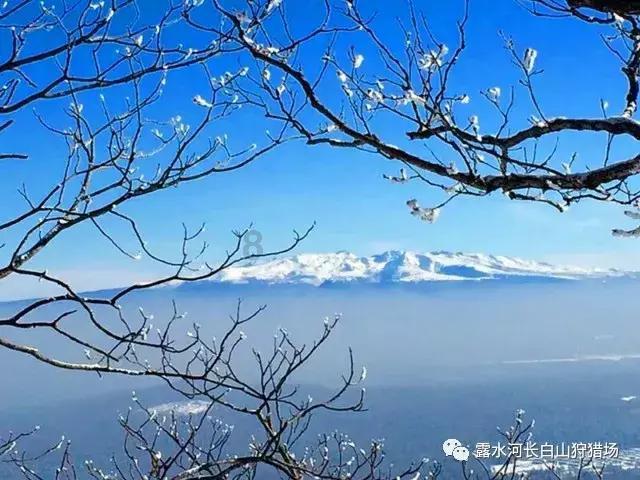 埃利的时装周